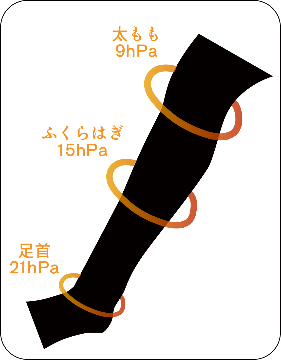 段階着圧設計
